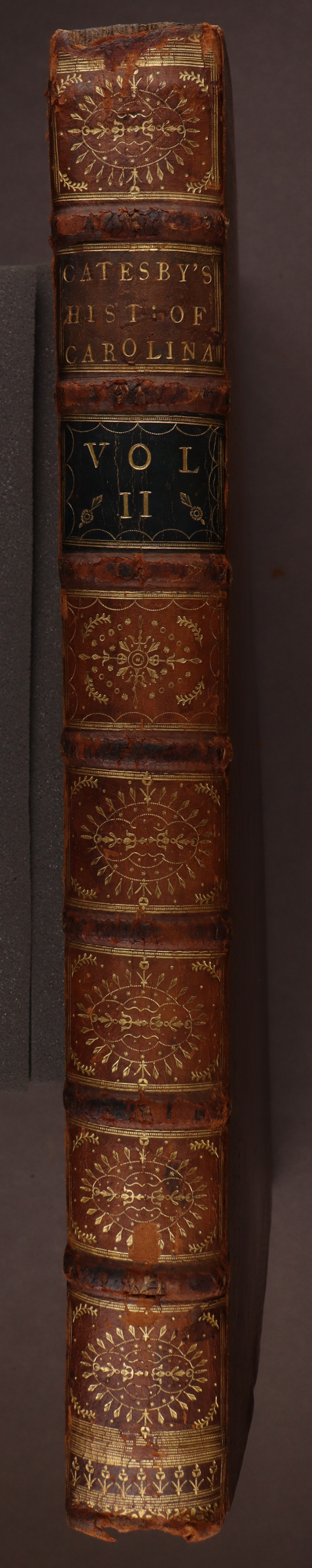 Spine